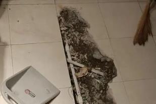 黑河市卫生间漏水检测电话